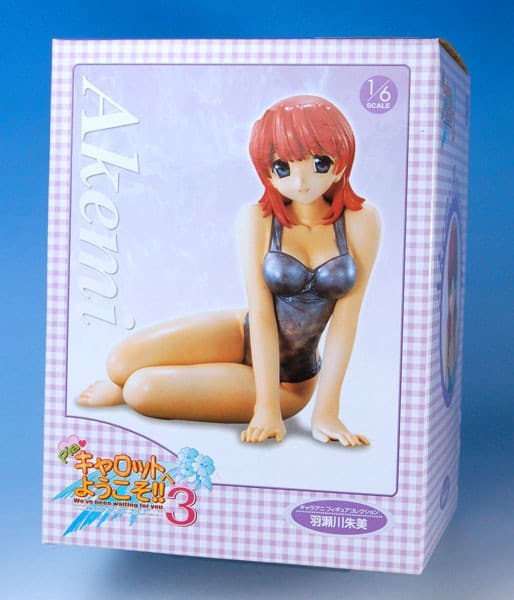 Pia♥Carrot e Youkoso!! 3 - Hasegawa Akemi - 1/6 (Chara-Ani)