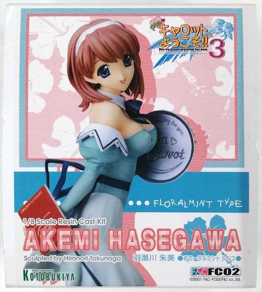Pia♥Carrot e Youkoso!! 3 - Hasegawa Akemi - 1/8 - Floral Mint Type (Kotobukiya)