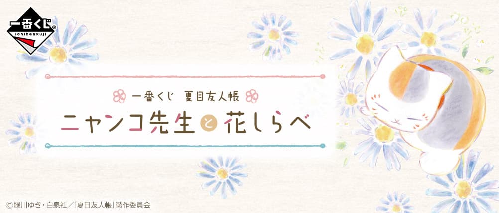 貓咪老師與花探訪