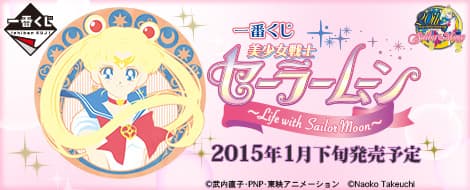 美少女戦士美少女戰士 ~Life with Sailor Moon~
